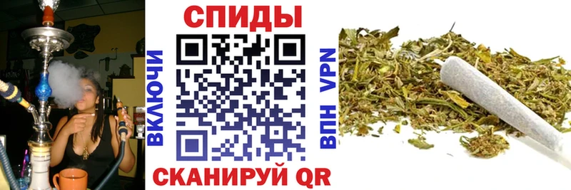 БУТИРАТ BDO 33%  Облучье 