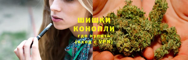 прущие крисы Балахна