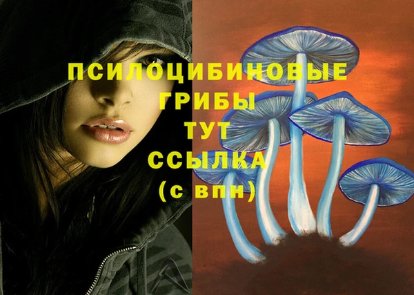 apvp Баксан