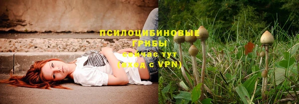 прущие крисы Балахна